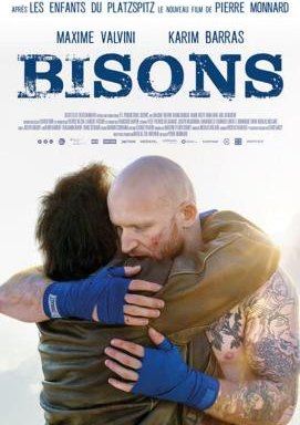 Bisons